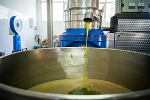making-olive-oil